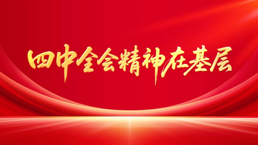 专题：四中全会精神在基层
