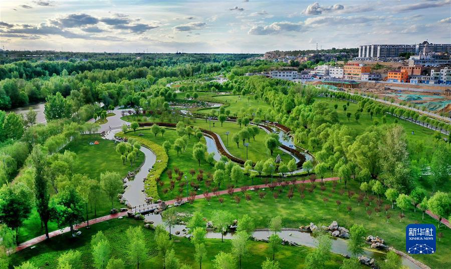 （新华全媒头条&middot;聚焦生物多样性大会&middot;图文互动）（4）携手同行，开启人类高质量发展新征程&mdash;&mdash;习近平主席在《生物多样性公约》第十五次缔约方大会领导人峰会上的主旨讲话解读