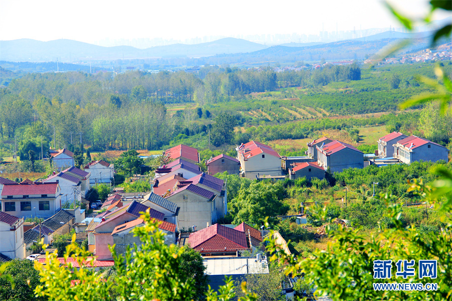 安徽：生态乡村风景如画