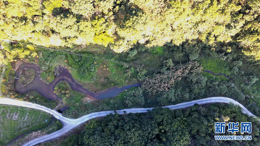 Ⅱ级！唐鱼：我是鲜为人知的珍稀动物