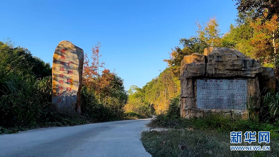 Ⅱ级！唐鱼：我是鲜为人知的珍稀动物