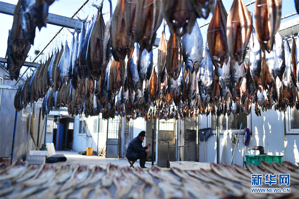 山东青岛：全力制作鱼干 迎新年旺季