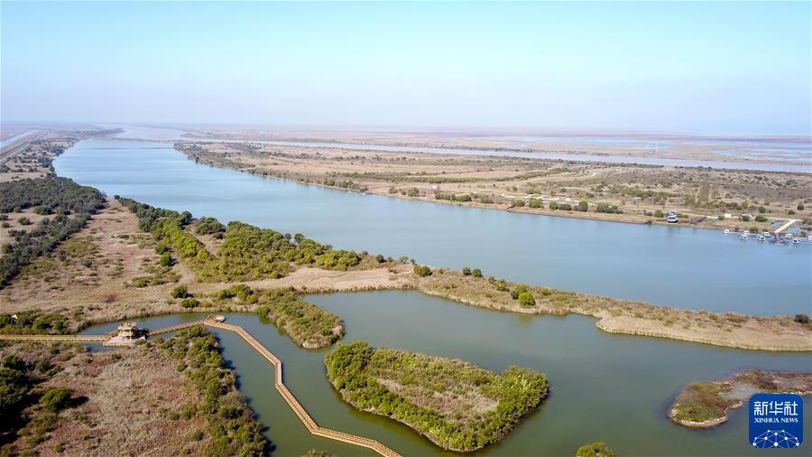 （新华全媒头条&middot;图文互动）（4）鲲鹏展翅九万里&mdash;&mdash;以习近平同志为核心的党中央引领中华民族迈向伟大复兴述评