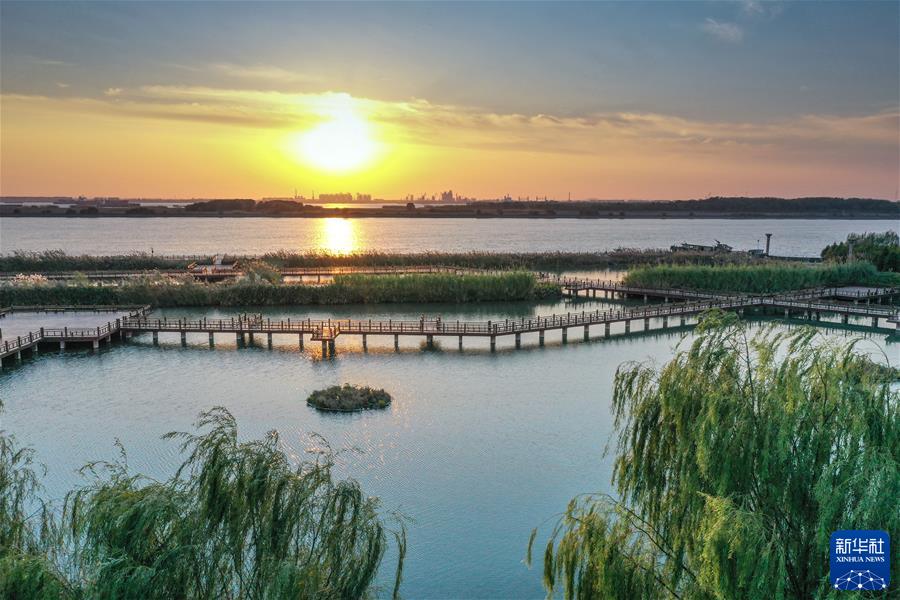 （新华全媒头条&middot;图文互动）（5）鲲鹏展翅九万里&mdash;&mdash;以习近平同志为核心的党中央引领中华民族迈向伟大复兴述评