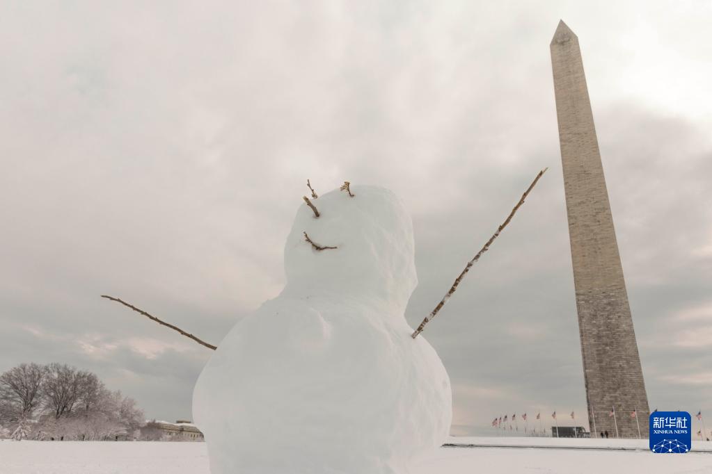 美国：华盛顿暴雪 部分航班晚点或取消