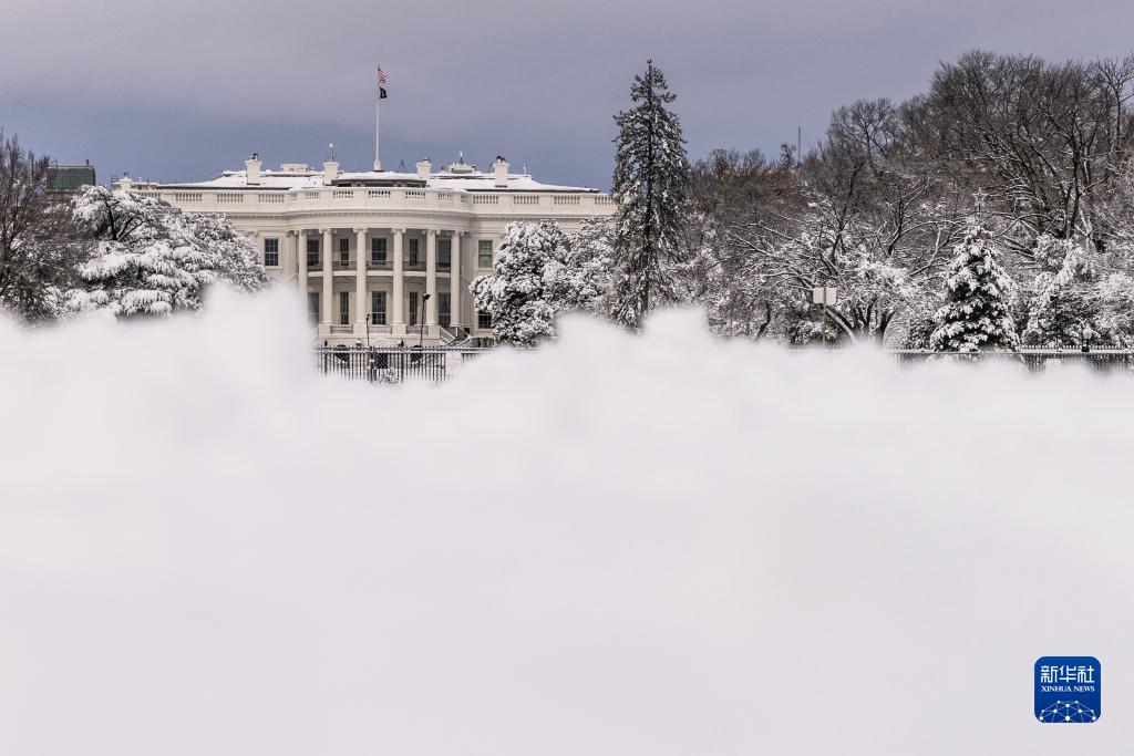 美国：华盛顿暴雪 部分航班晚点或取消