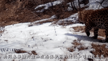 减少碳排70万吨!这里的绿氢不一般!