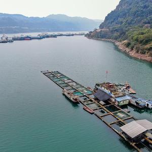 （新华全媒头条&middot;图文互动）（1）生态美、产业兴、文化昌&mdash;&mdash;长江经济带生态优先、绿色发展见闻