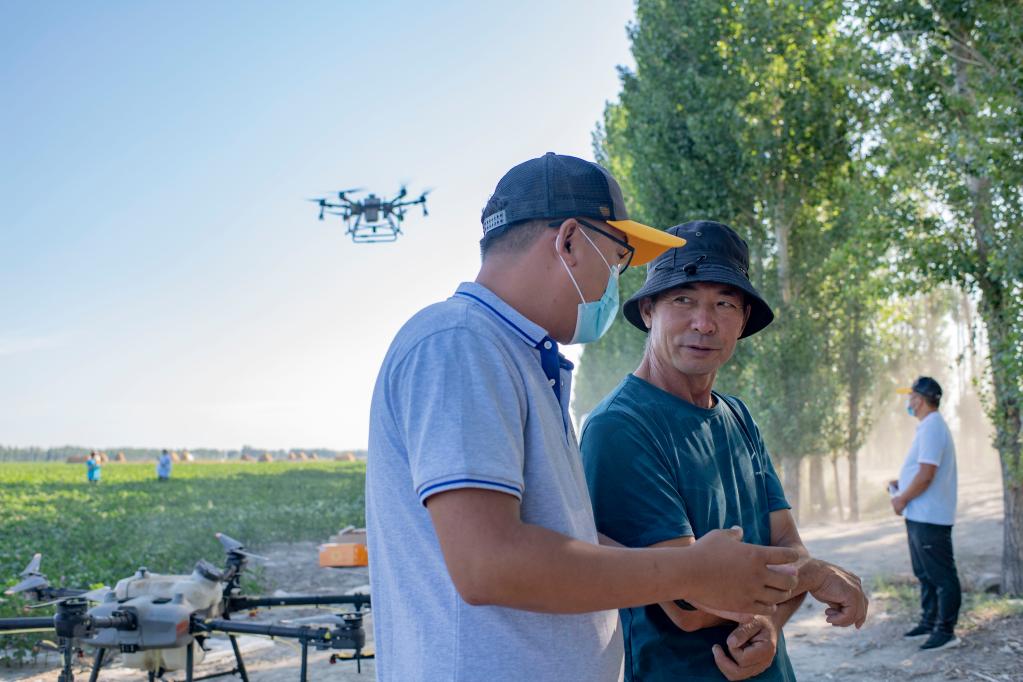 超8000架植保无人机飞翔新疆郊野 助力棉粮消费