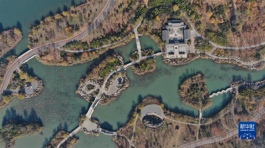 (新华全媒头条·奋进新征程 建功新时代·非凡十年·图文互动)(8)安徽:科技进步添动力 创新发展谱新篇