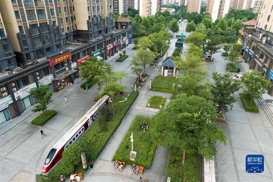 ���»�ȫýͷ�����ܽ������� ������ʱ�����Ƿ�ʮ�ꡤͼ�Ļ�������1��������������д��������չ��ƪ�� 