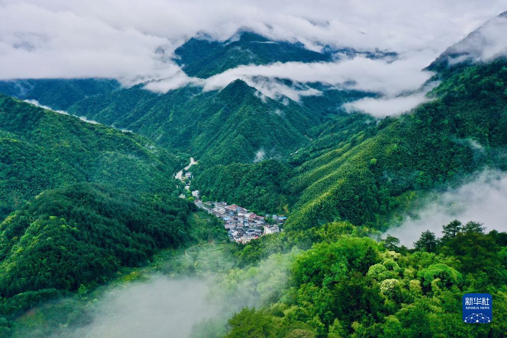 奋进新征程 建功新时代·非凡十年丨美丽中国展新颜——新时代中国生态文明建设述评