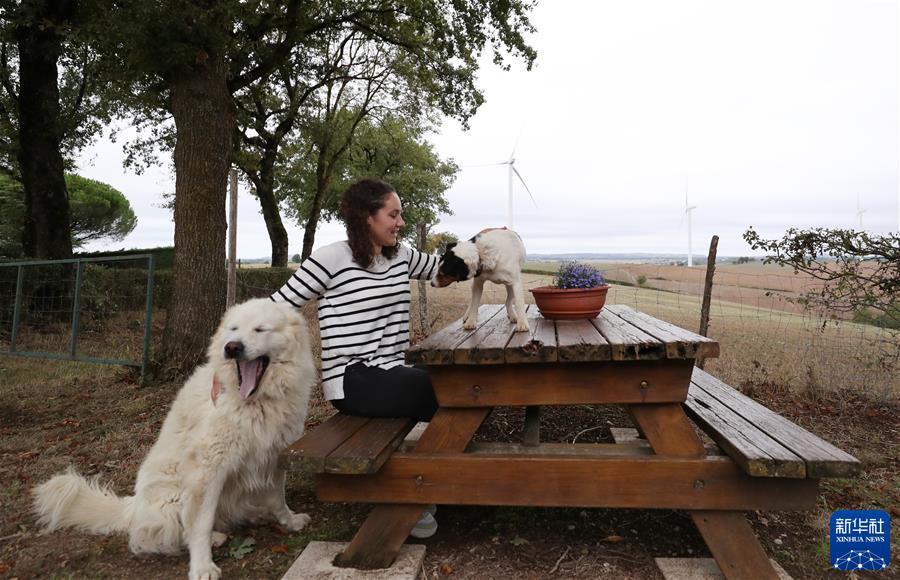 (国际·图文互动)(2)通讯:中国企业运营的风电场成为法国小镇旅游地标