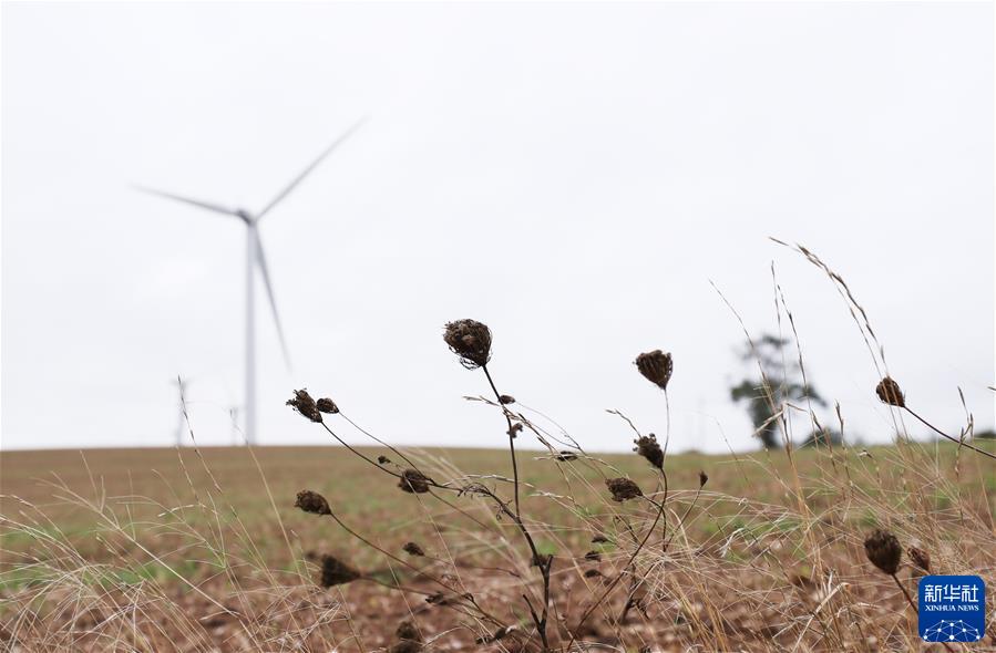 (国际·图文互动)(5)通讯:中国企业运营的风电场成为法国小镇旅游地标
