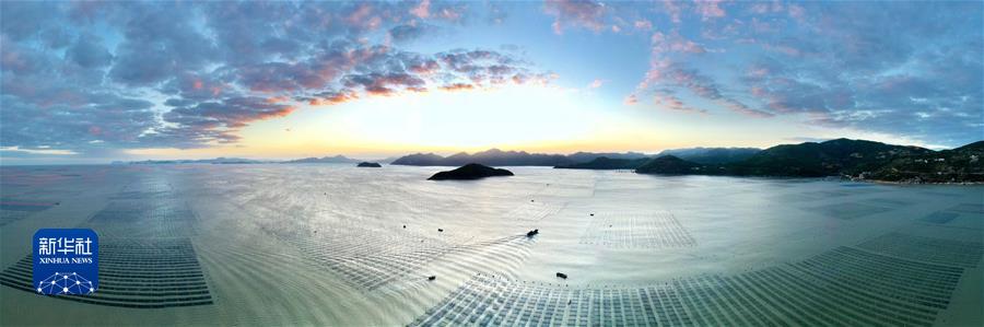 （镜观中国·新华社国内新闻照片一周精选）（5）福建海上紫菜秋收忙