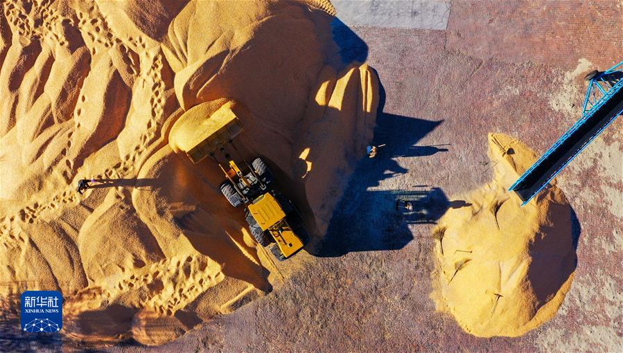 （镜观中国·新华社国内新闻照片一周精选）（8）内蒙古通辽玉米迎丰收