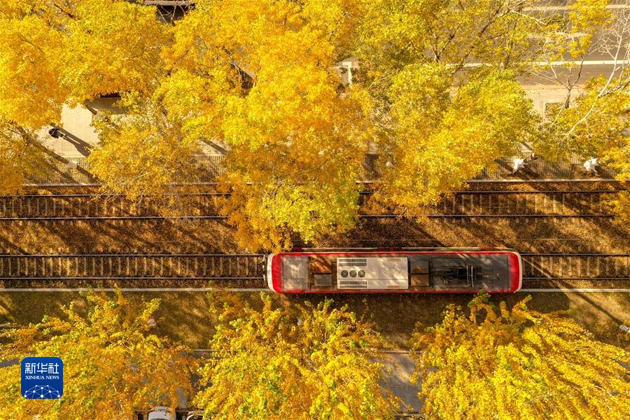 （镜观中国·新华社国内新闻照片一周精选）（10）长春秋景