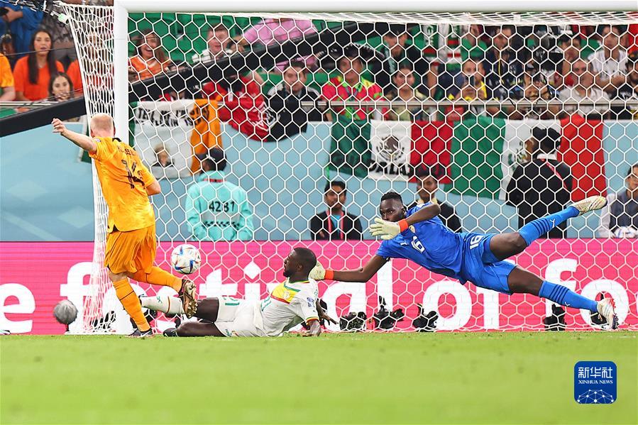 （卡塔尔世界杯）足球&mdash;&mdash;A组：荷兰战胜塞内加尔