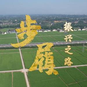 微信分享图