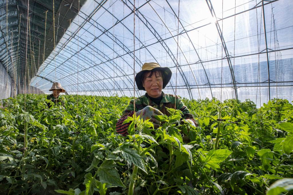 kaiyun聚力创新农业展会推动行业转型升级 - 食品频道 - 新华网