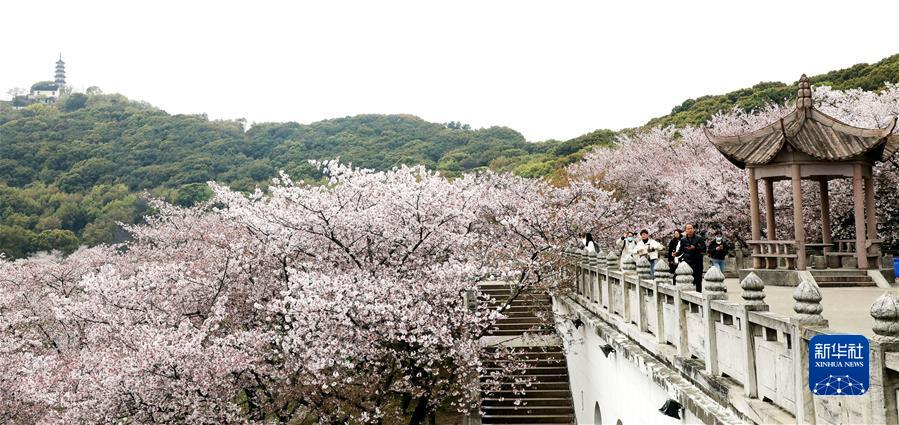 #（社会）（6）拥抱春天 乐享春光