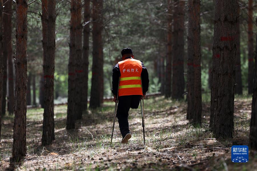 （镜观中国&middot;新华社国内新闻照片一周精选）（3）29年的守护 只为一片林海