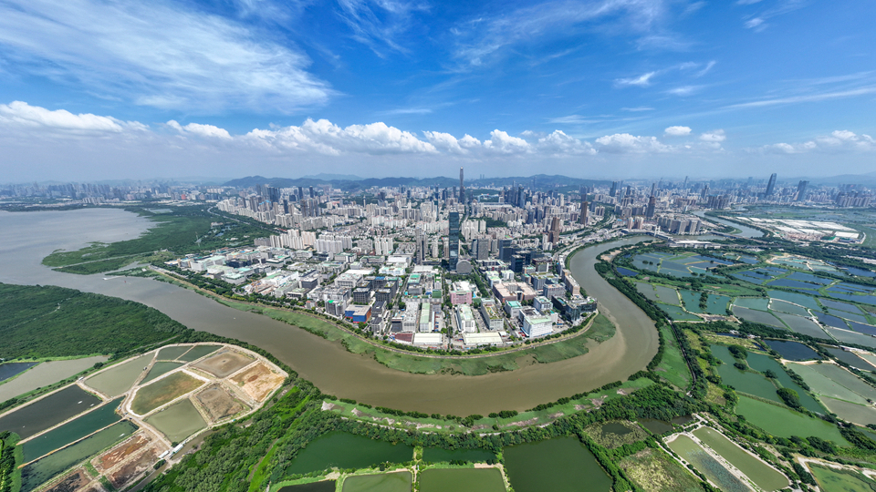 新研究:大脑无法同时学习两种条件