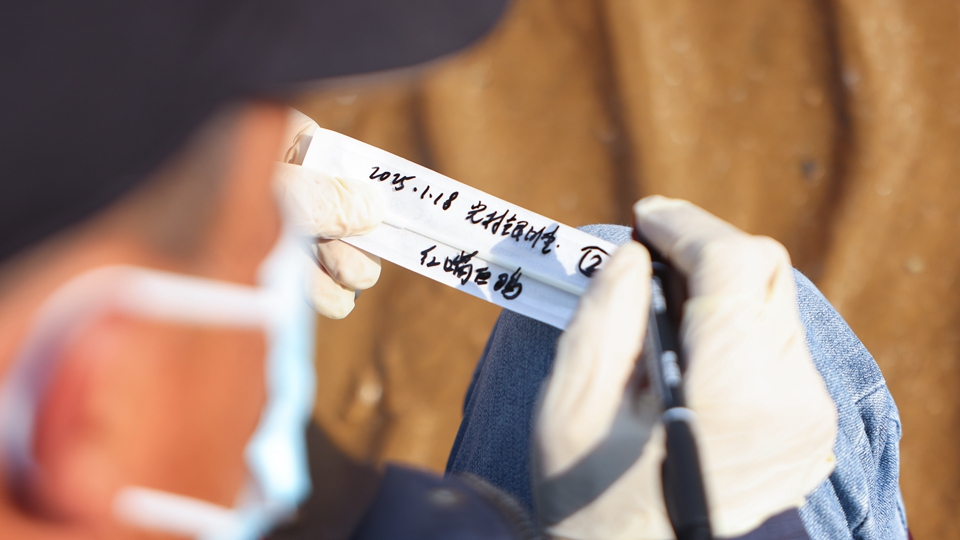 守护湿地的“理想哥”