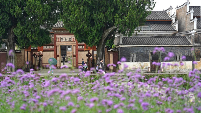 台青曾芝颖的创业路:从台北都市到