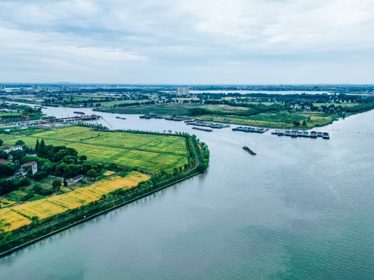 太浦河沿岸好风光。吴横轩摄