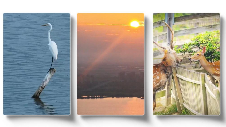 大规划 小日子丨“生态摄影师”戴哥的相册里多了谁？