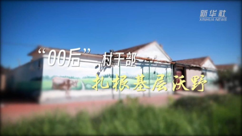 “00后”村干部扎根基层沃野