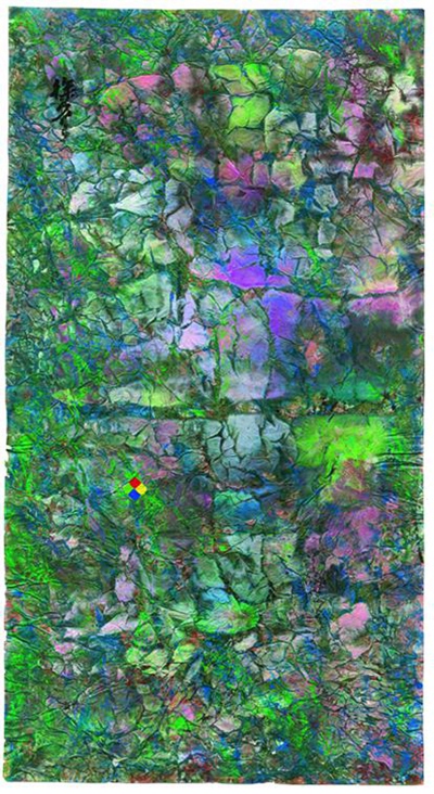 戊戌年正月二十·惊蛰·初候桃始华(徐冬冬作品)