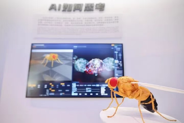stylecontent(图1)