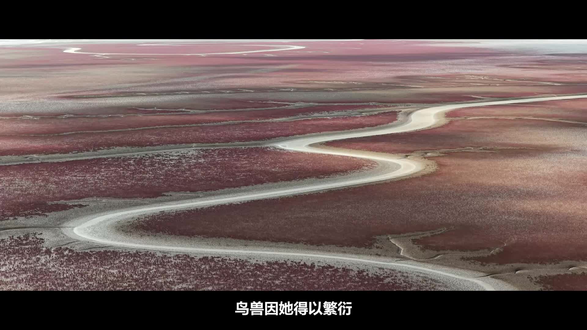 跨越万里的答案