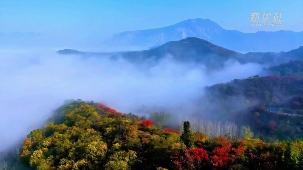 千城胜景｜河南汝州：云海漫卷韵味浓