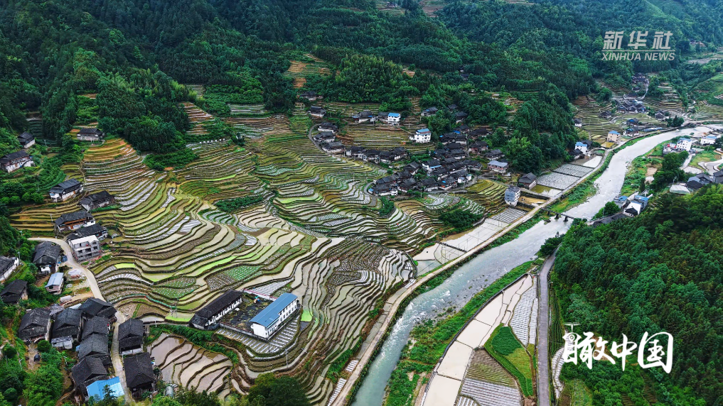 广西龙胜：雨霁梯田润