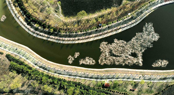 一座城市的绿色&ldquo;转身&rdquo;