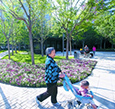 北京东城添13个口袋公园