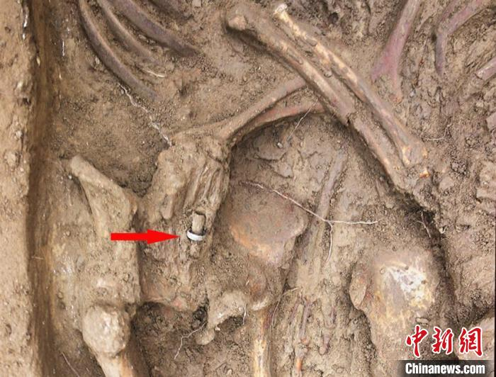 女性墓主左手无名指处戴有一枚银色素面指环。(资料图) 吉林大学考古学院供图