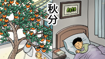 节令之美｜秋分：山河对半秋，桂稻各生香