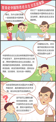 党的领导是中国特色社会主义法治之魂
