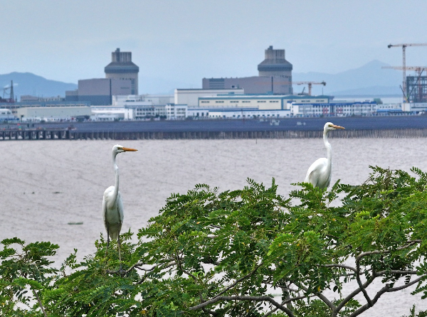 美丽中国看核电丨三门：怀抱山海 共栖自然