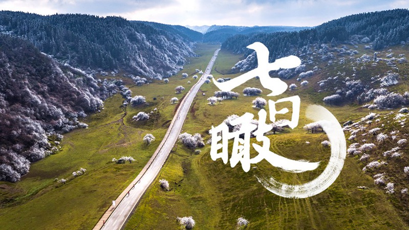 七日瞰VOL.08|风和日暖 万物迎春