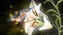 无人机替代蜜蜂为植物授粉？