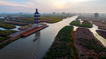 美丽中国：千垛秋景引客来