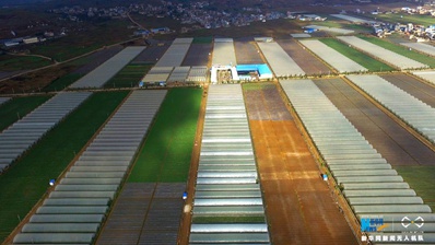 航拍云南祥云万亩蔬菜基地