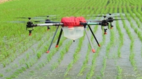 无人机助力农业植保