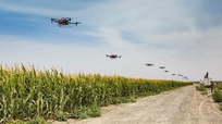 无人机飞上农业舞台