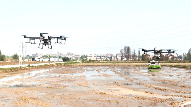 机械化播种显身手